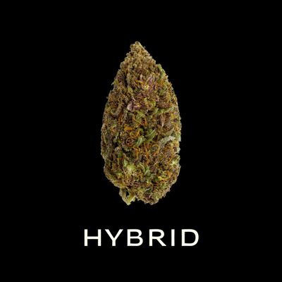 Hybrid