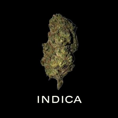 Indica