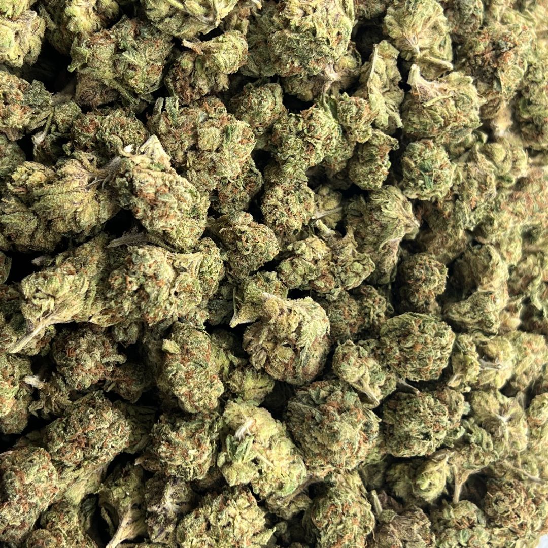 Jungle Glue THCa (Hybrid) 33.74% TAC
