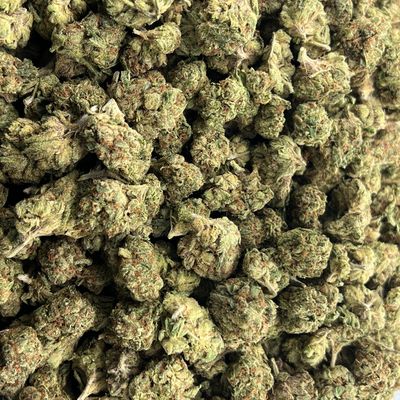 Jungle Glue THCa (Hybrid) 33.74% TAC