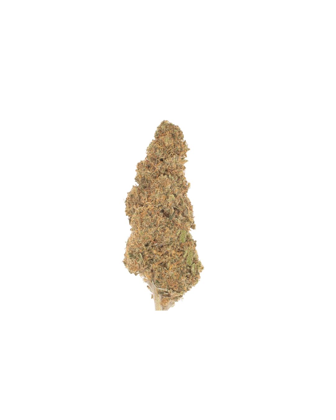 Purple Frosty CBD (Hybrid) 19.67% TAC