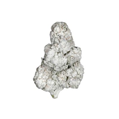 Frosty THCa Snowcaps (Indica) 78.97% TAC