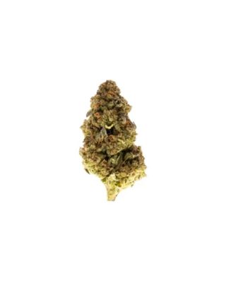 Motorcity Gas THCa (Hybride) 31.71% TAC