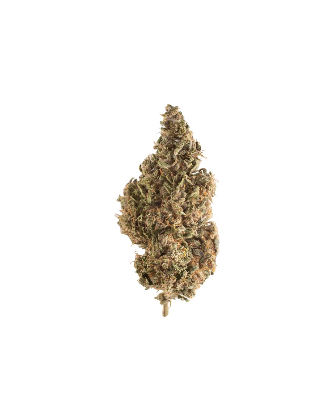 Pineapple Express CBD (Sativa) 19.63% TAC