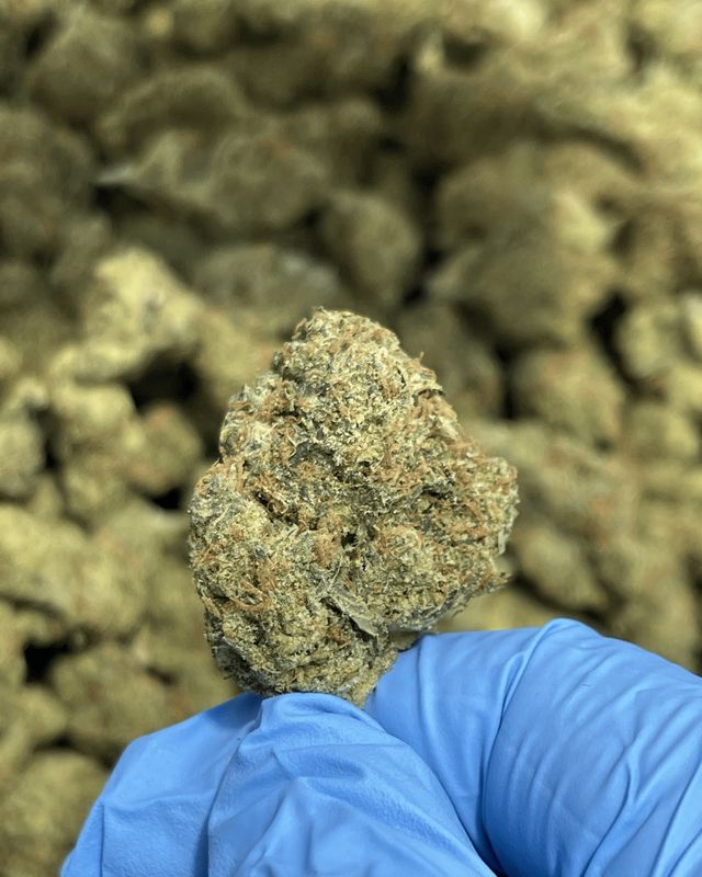 Green Ribbon THCa (Hybrid) 31.79% TAC