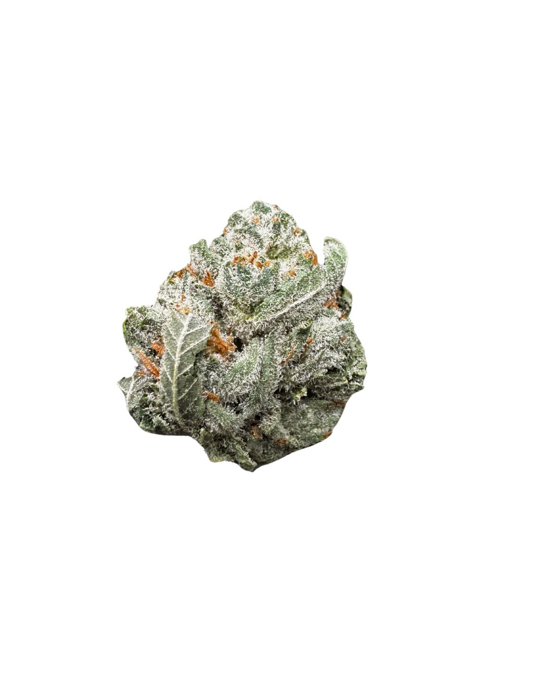 Scooby Snacks - Smalls THCa (Hybrid) 38.58% TAC