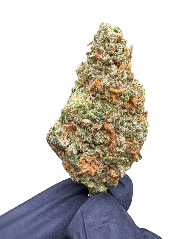 Blue Dream THCa (Sativa) 32.51% TAC