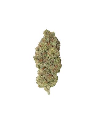 Headbanger THCa (Sativa) 36.99% TAC