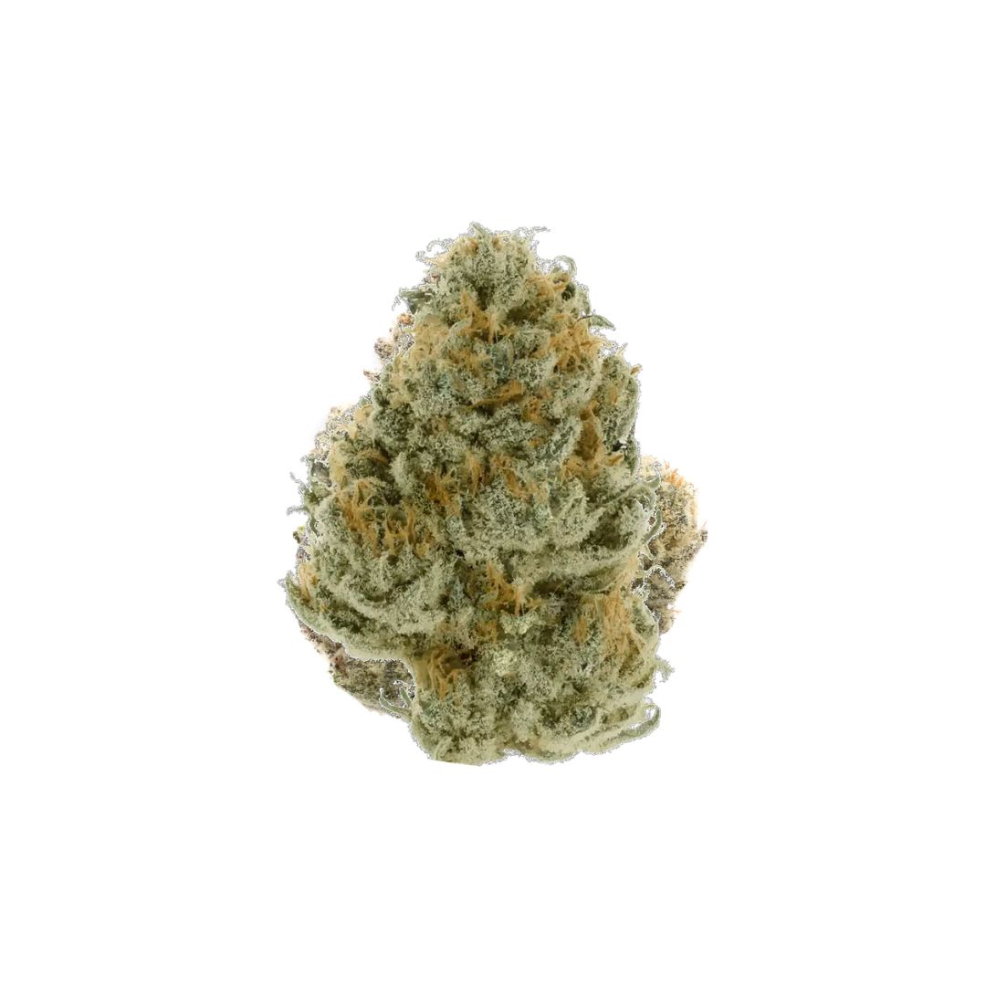 Tropical Lemon THCa (Sativa) 37.26% TAC