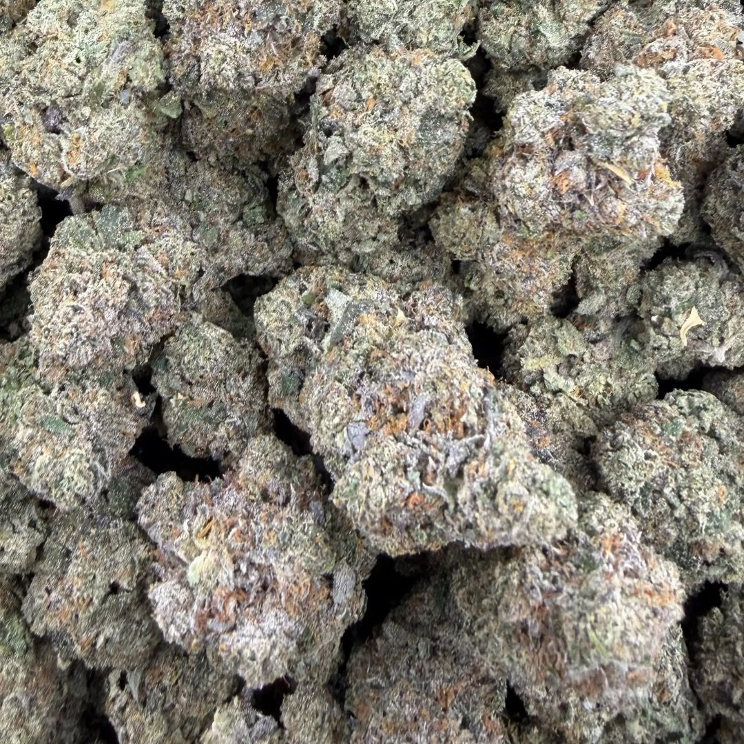 Aries THCa (Hybrid) 34.74% TAC