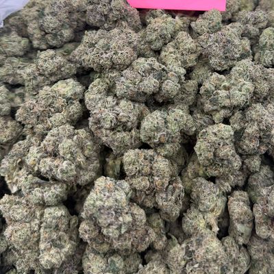 China White THCa (Sativa) 36.05% TAC