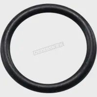 Waterway 5/8&quot; Drain Plug O-Ring( Single Piece )