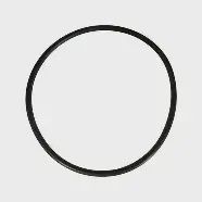 Pentair Filter Bulkhead O-Ring for System:3® Filters