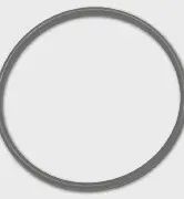 Lid O-Ring, CL220 Chlorinator