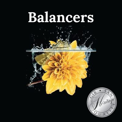 Balancers
