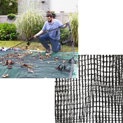 Leaf Nets
