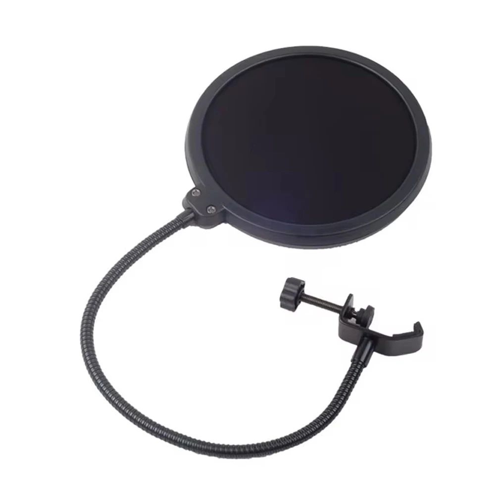 Microphone filter