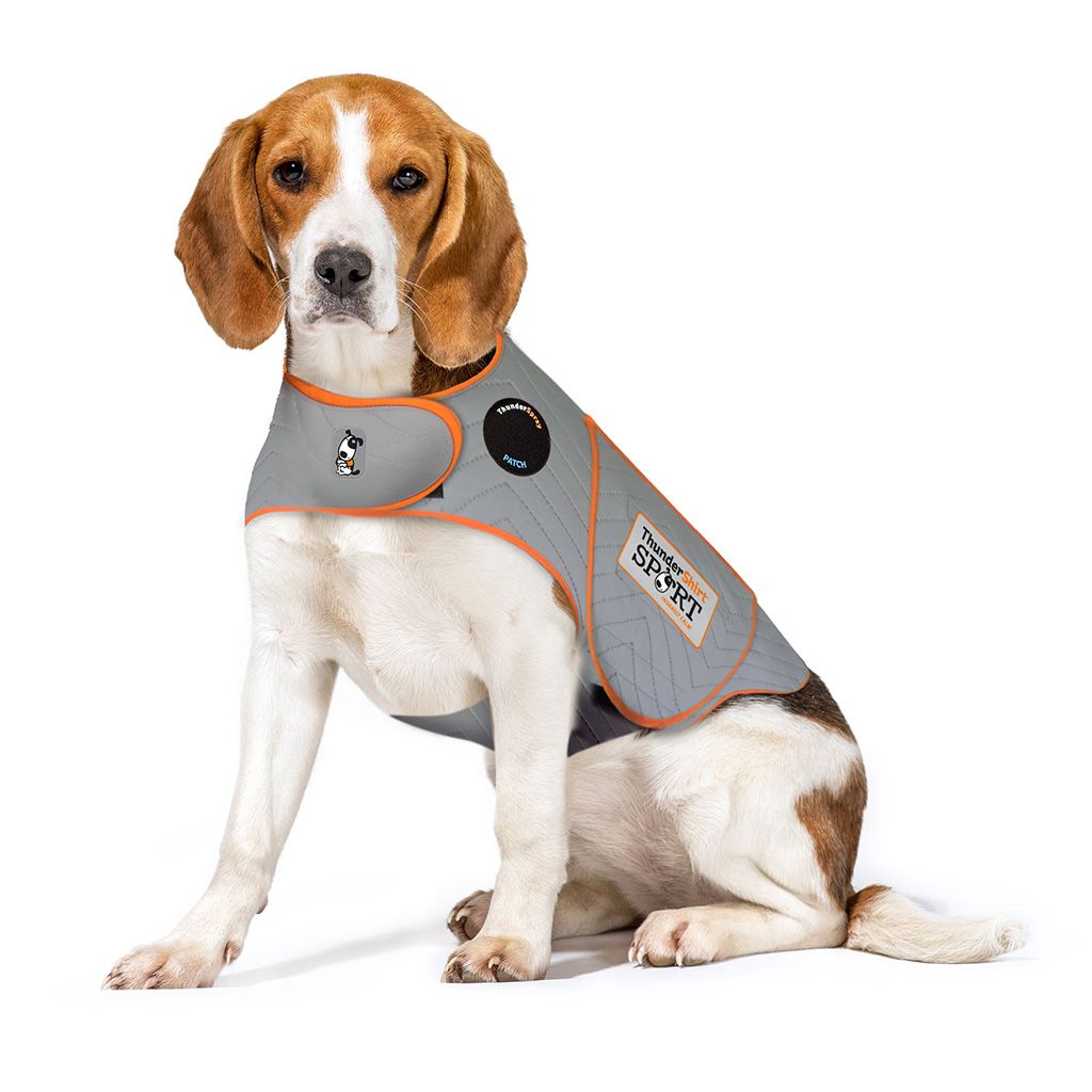 Thunder Shirt Sport Platinum - Dog, Size: Medium