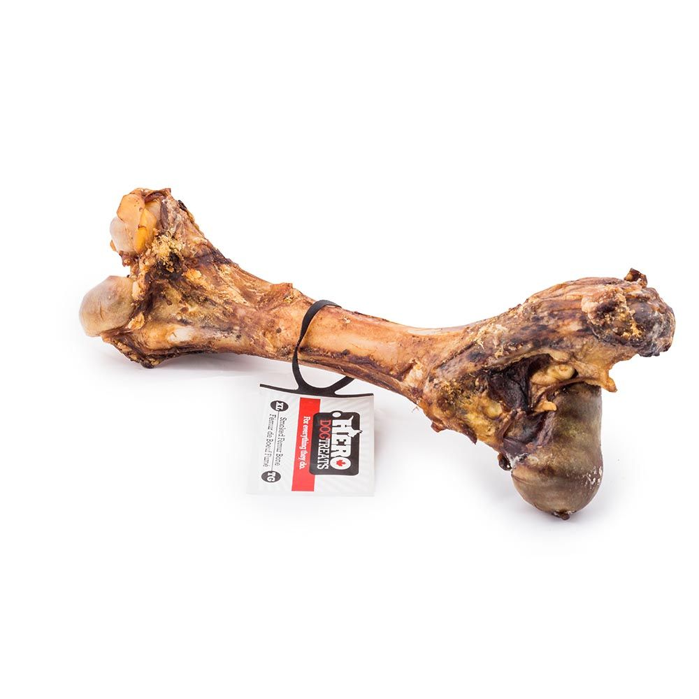 Beef Femur Bone, Size: X-Large, Variety: Natural