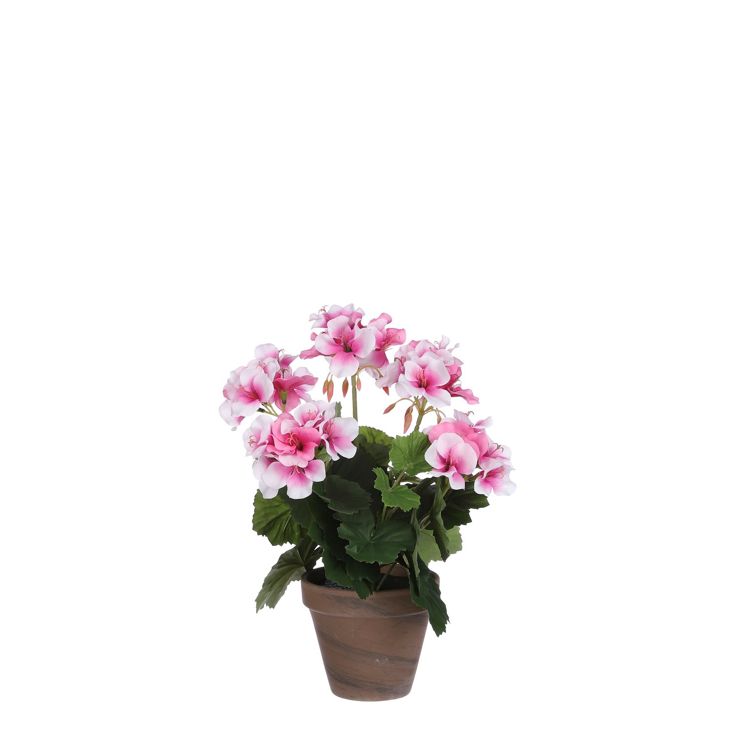Geranium in Pot Stan Grey d11.5cm - h33xd20cm, Color: Dusky Pink