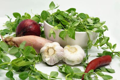 Vegetable Seeds