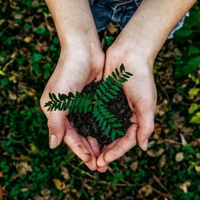 Eco-Friendly Products