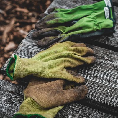 Apparel &amp; Gloves