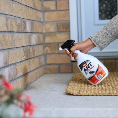 Pest &amp; Bug Control