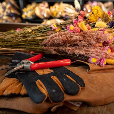 Accessories &amp; Tools