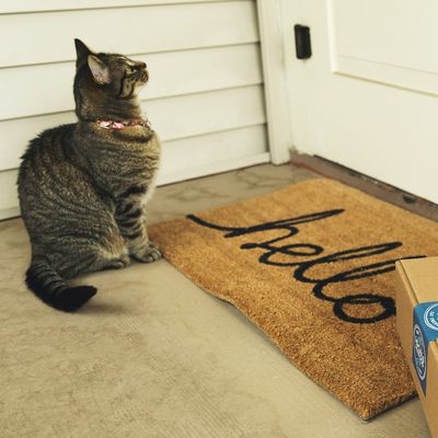 Doormats 