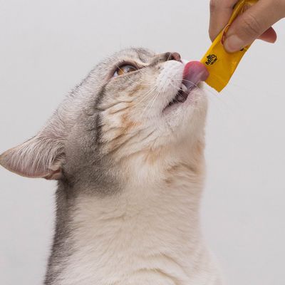Treats