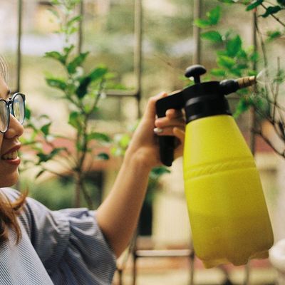 Plant Care
