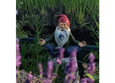 Garden Decor