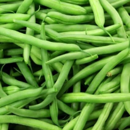 Tendergreen Organic Bush Bean Seeds