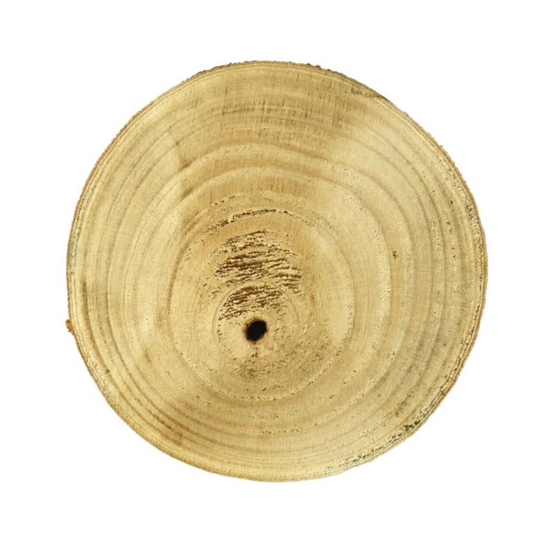Paulownia Wood Round Slice