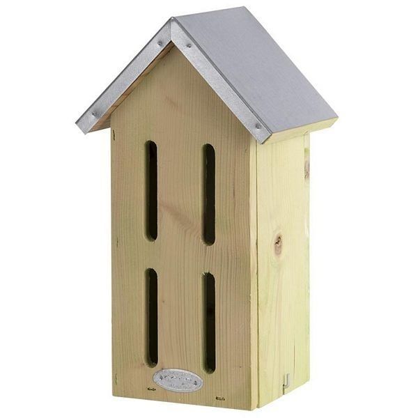 Butterfly box. Pinewood, zinc