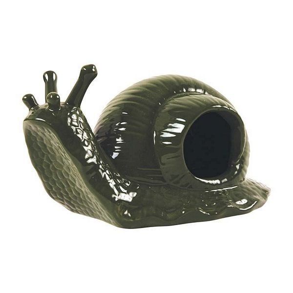 Slugtrap Snail