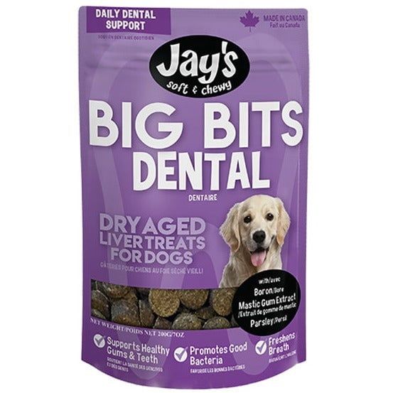 Jay&#39;s Big Bits Dental