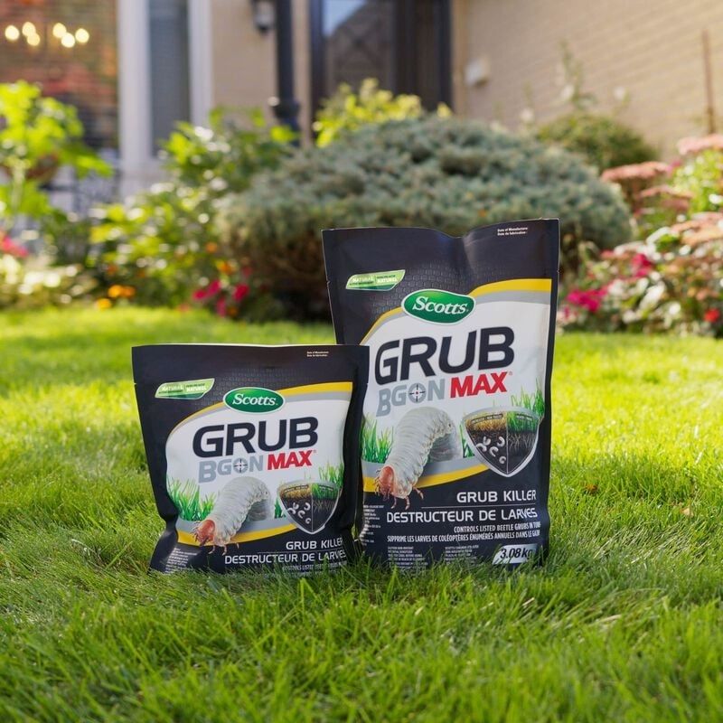 Scotts - Grub B Gon Max Grub Killer - 1.40 kg