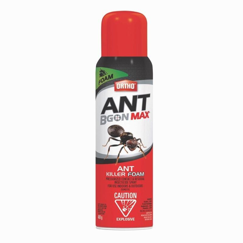 Ortho - Ant B Gon Max Ant Killer Foam 400 g