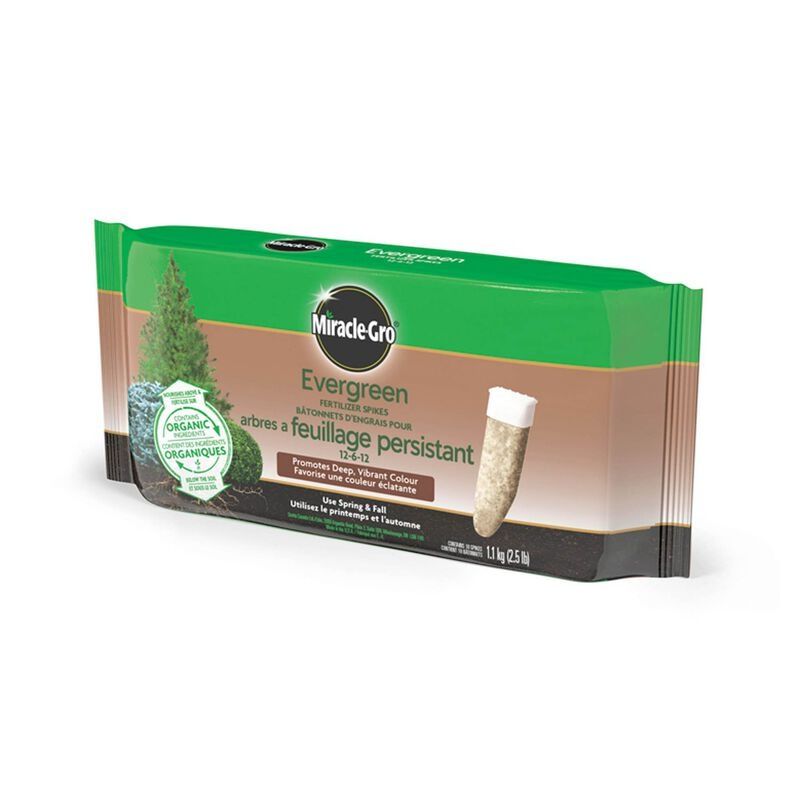 Miracle-Gro - Evergreen Fertilizer Spikes - 10 Pack