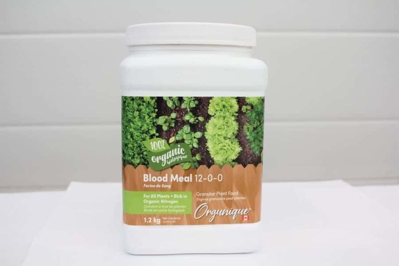 Organique - Blood Meal 12-0-0 1.2kg
