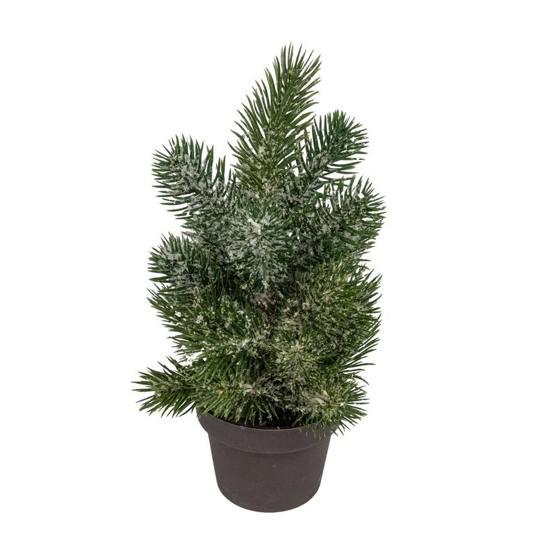 Xmas Tree in Pot - H24Xd12Cm