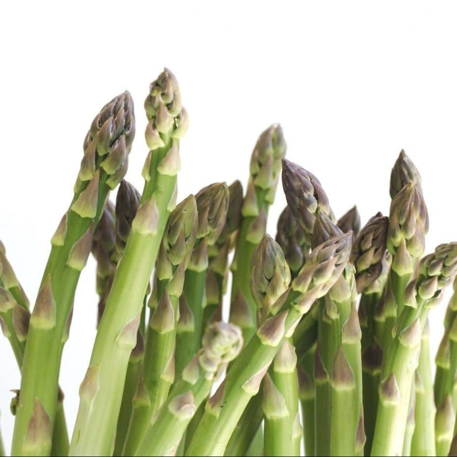 Mary Washington Asparagus Seeds 1100