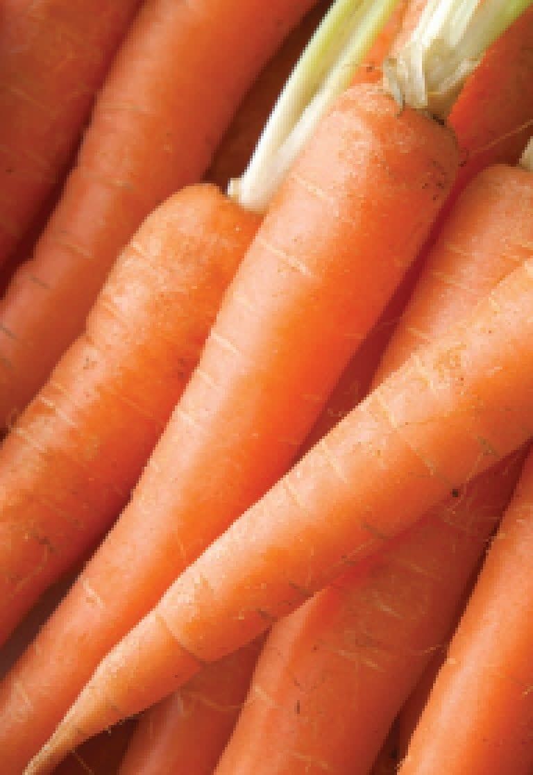 Imperator Carrot Seeds 1370