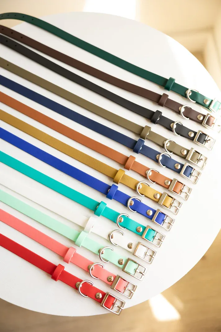 Biothane 5/8" Classic Buckle Collar