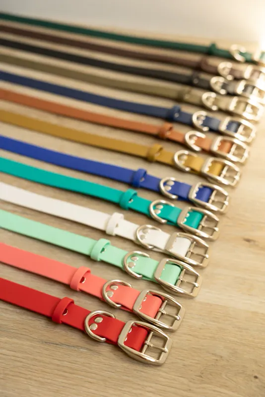 Biothane 1" Classic Buckle Collar