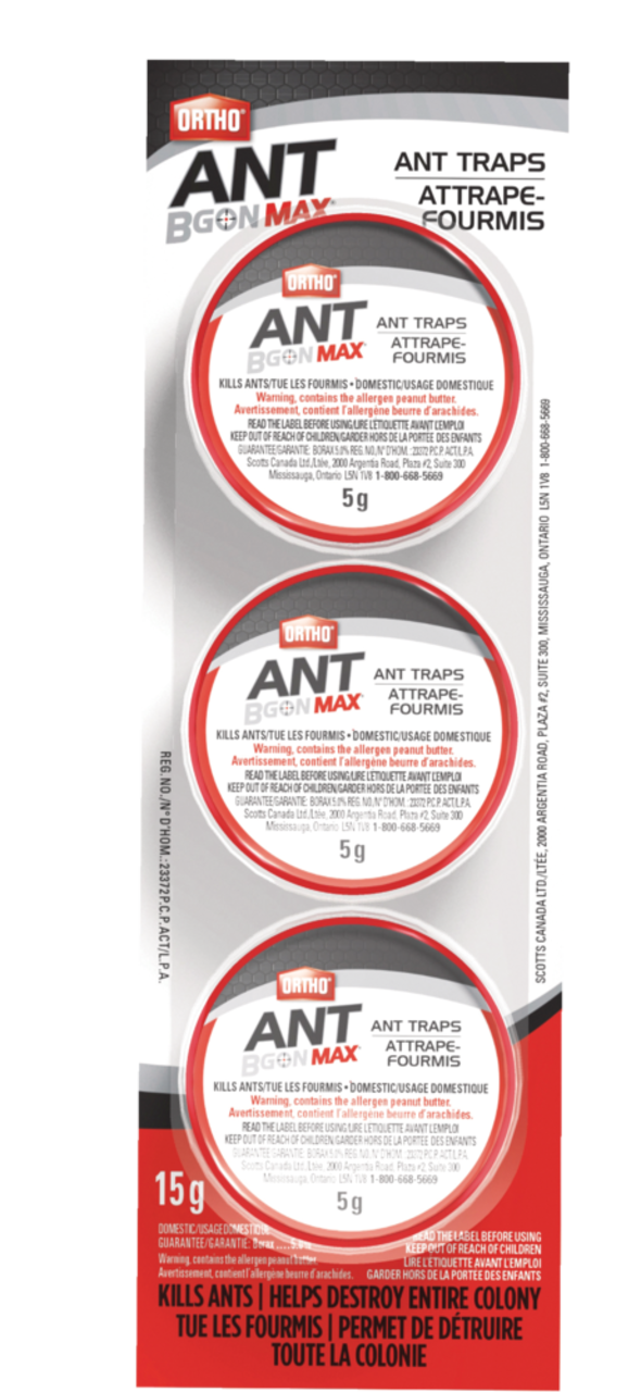 Ortho - Ant B Gon Max Ant Traps 3pk