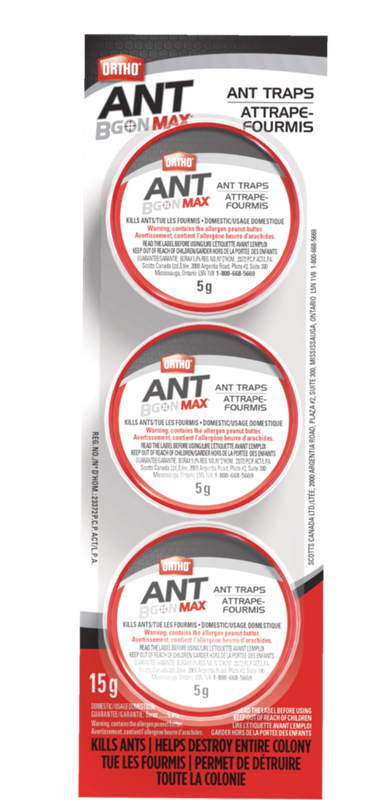 Ortho - Ant B Gon Max Ant Traps 3pk