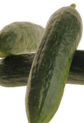 Mercury Hybrid Cucumber Seeds 1665